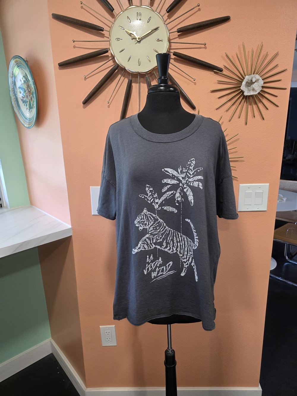 aerie NWT Charcoal Gray Graphic Short Sleeve Tee Boyfriend Boxy T White Tiger - Picture 3 of 14